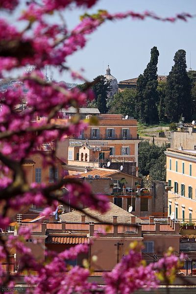 Rome ... eternal city XV von Meleah Fotografie
