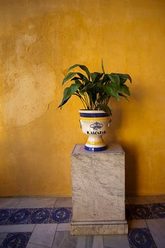 Royal Palace Seville Real Alcazar by Kees van Dun