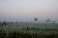 Landschap in kou