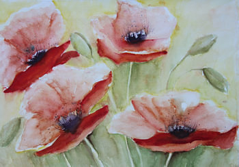 Coquelicots dansants