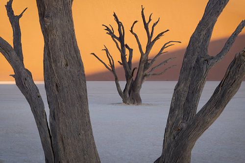 Deadvlei II