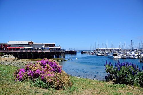 Wandelen naar Fisherman's Wharf in Monterey