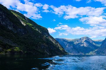 In een Fjord van Iris van der Veen