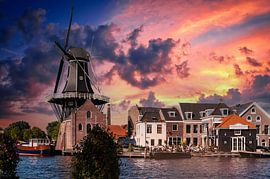 Haarlem der Adrian auf der Spaarne von Brian Morgan