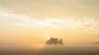 lever de soleil avec brouillard par Dirk van Egmond Aperçu