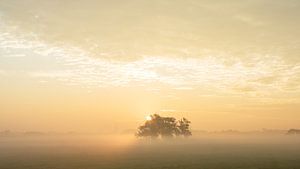 zonsopgang met mist van Dirk van Egmond