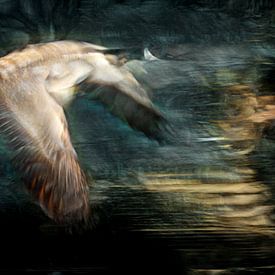 Goose in flight by Carla van Zomeren