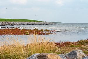 Deich bei Ameland