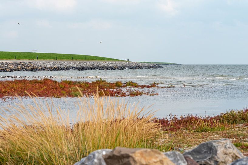 Dike near Ameland by Marian Waanders