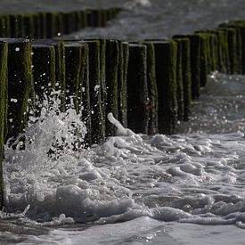 Wellen brechen sich an den Wellenbrechern an der Küste von Zeeland von Marjolijn van den Berg