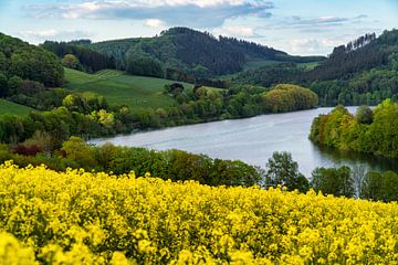 Verkrachtingsveld bij de Hennesee in Sauerland van Deimel Fotografie