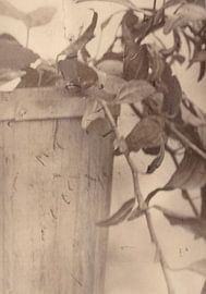 Flowerpot in autumn by Johannes Wobus