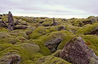 Neverending lavafiels on Iceland van Karin Hendriks Fotografie thumbnail