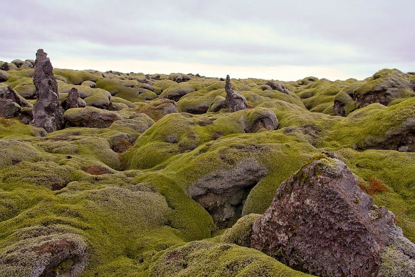 Neverending lavafiels on Iceland par Karin Hendriks Fotografie