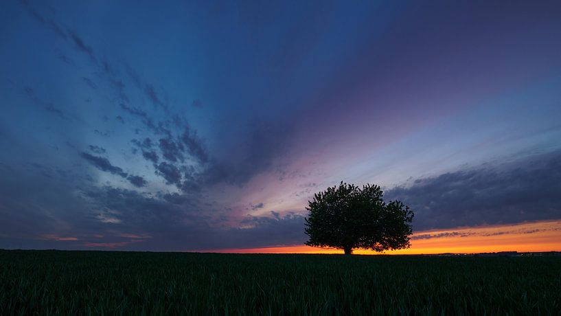 Bürgerliche Abenddämmerung von Ronny Rohloff