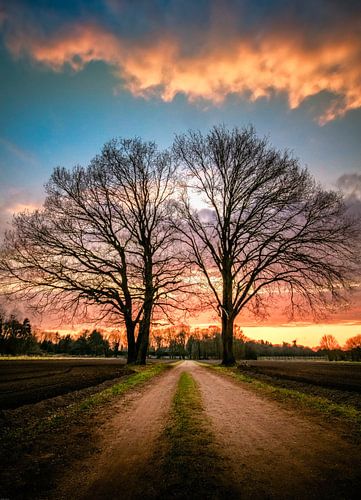 Two oldies, still together