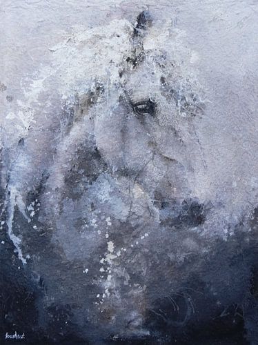 Cheval sur Peter van Loenhout