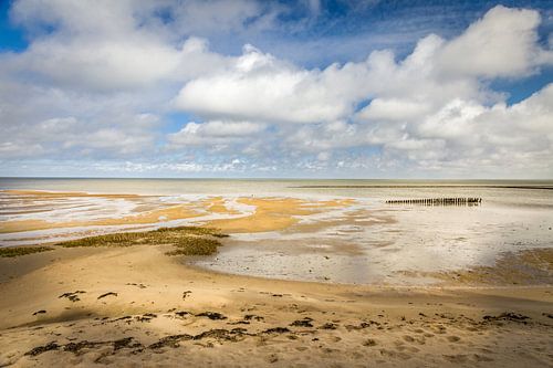 Wadden landscape near Keitum, Sylt