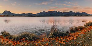 Panoramafoto des Hopfensees, Bayern