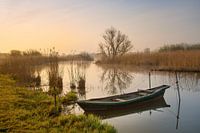 morning rest