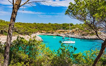 Bay with sailing yacht boats at idyllic seaside on Mallorca island, Spain by Alex Winter