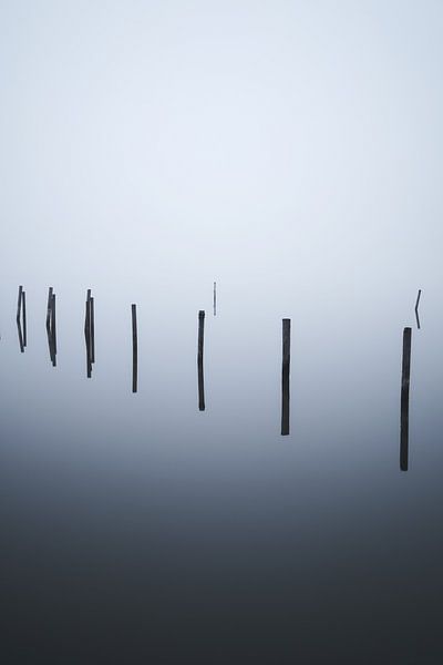 Eight poles by Marvin Schweer
