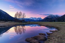 Sunrise at the biotope