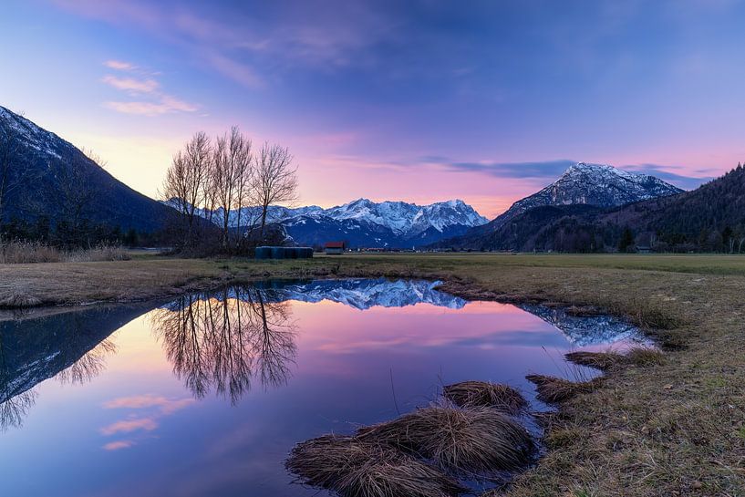 Sunrise at the biotope by Teresa Bauer