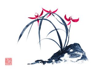 Orchidée rouge
