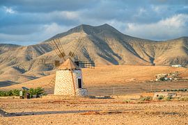 Windmolen in Tefía op Fuerteventura