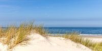 zicht op de duinen
