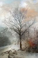 Winter Magic in Nederland