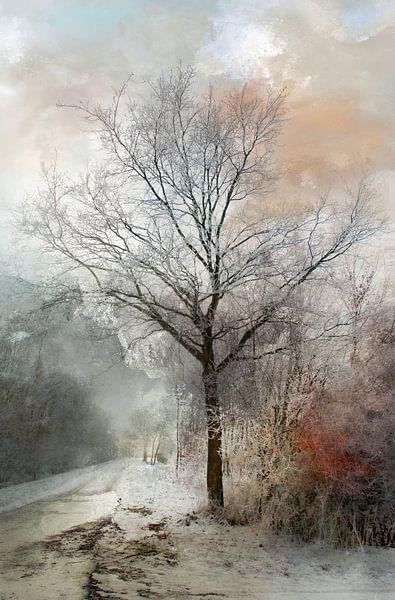 Winter Magic in the Netherlands by Annie Snel