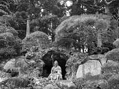 Zen garden by Menno Boermans thumbnail