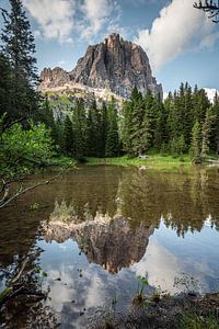 Lago bai di donnes réflexion