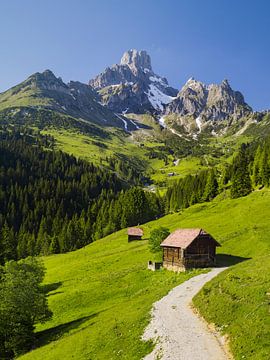 Alpensommer II von Rainer Mirau