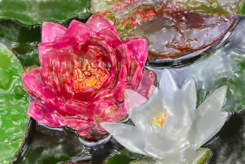 Water lilies ART 1.0 by Ingo Laue