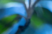 Green-blue-abstract
