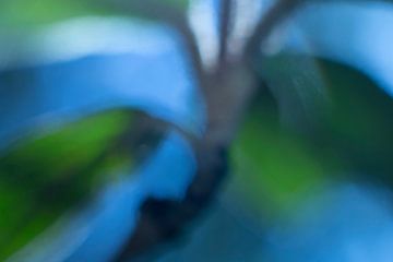 Green-blue-abstract