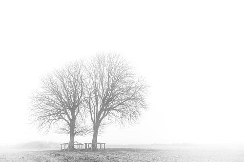 Winter is coming van Marc Arts