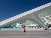 Architektur von Santiago Calatrava in Valencia