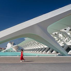 Architectuur van Santiago Calatrava in Valencia van Stephaniek Putman