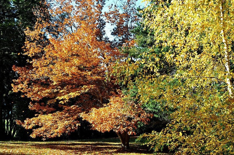 Chico tour: nature and serenity in Patagonia by Frank Photos