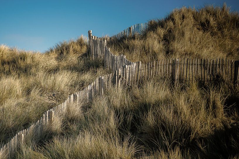 dunes Bredene by Rik Verslype