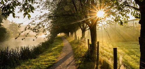 Gave panorama of a hiking trail on crazy foggy morning.