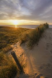 Op het strand! van Dirk van Egmond