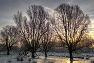 Bomen met bevroren voeten van Mike Bing thumbnail