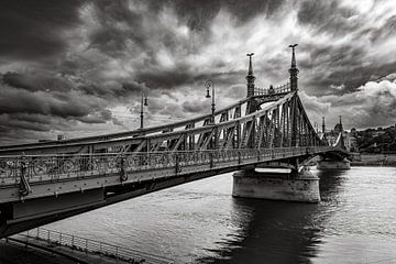 De Vrijheidsbrug over de Donau in Boedapest van Roland Brack