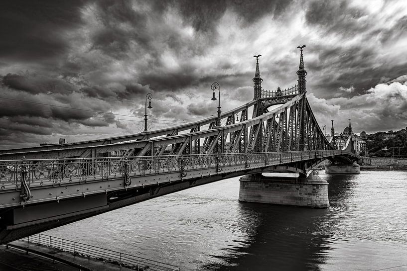 Die Freiheitsbrücke über die Donau in Budapest von Roland Brack