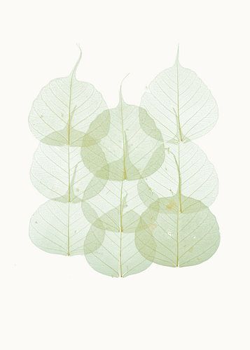 Sorte Cabinet_Leaves_02 von Marielle Leenders